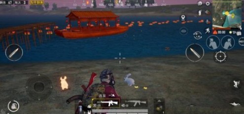 和平精英白色兔子与金色兔子区别详解