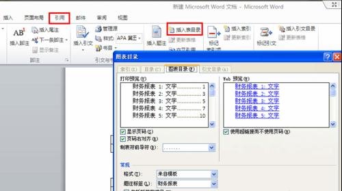 Word 2010自动生成图表目录的操作步骤