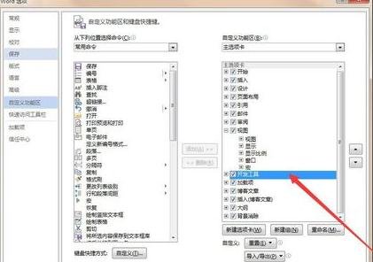 Word 2013打开开发工具和输入打钩复选框的操作教程