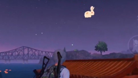 和平精英白色兔子与金色兔子区别详解