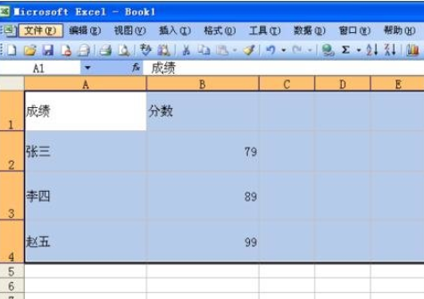 excel2007设置并打印网格线的相关操作步骤