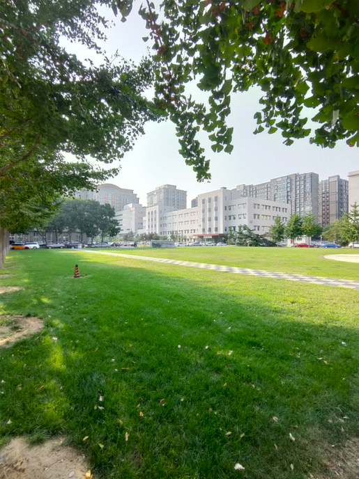 OPPO Reno2入手体验：全方位提升