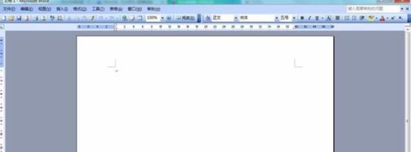 Microsoft Office 2003中插入页码的操作步骤