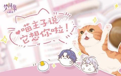 梦间集天鹅座收养猫咪与吸引名贵猫攻略