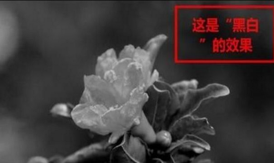 2345看图王制作特效图片的操作教程