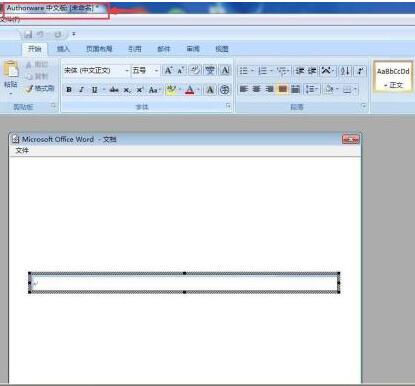 Authorware中文本框的插入方法步骤