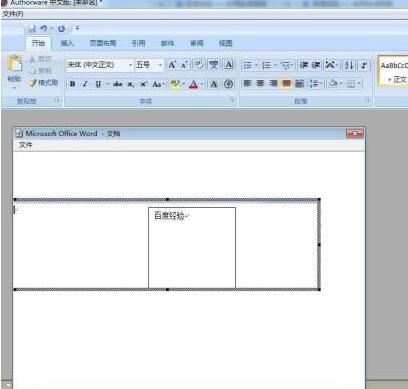 Authorware中文本框的插入方法步骤