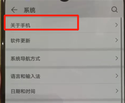 华为p30pro中开启开发人员选项的操作教程