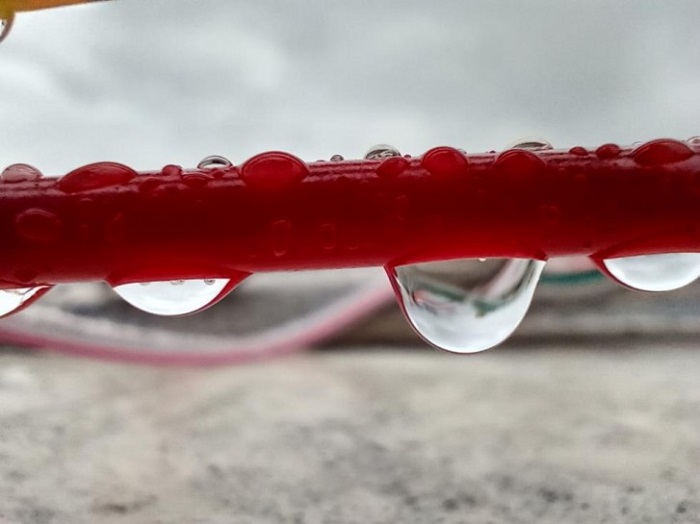 Moto One Macro将走进印度 支持极限 2 CM