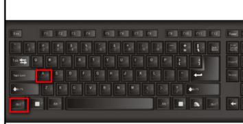 Microsoft Office 2003清除文字底色的具体操作