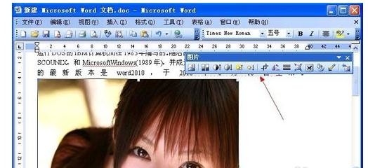 Microsoft Office 2003设置四周型环绕图片的详细操作教程
