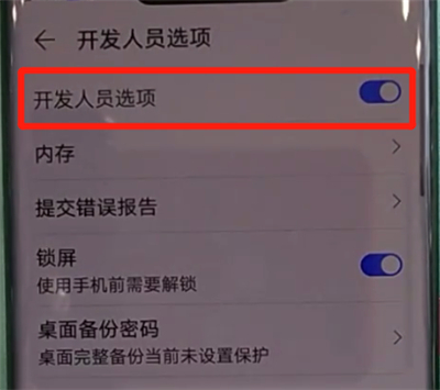 华为mate30pro中关闭开发人员选项的操作教程
