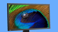 NEC推出全新31吋4K显示器：支持HDR