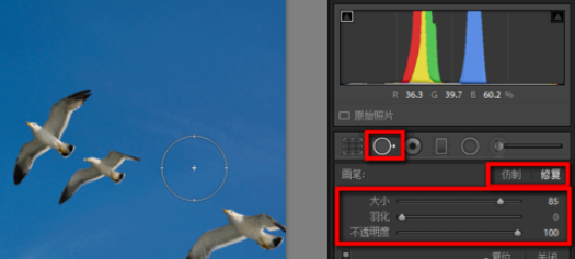 Lightroom污点去除功能使用步骤