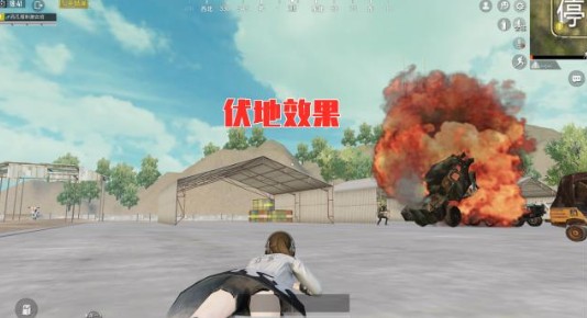 和平精英灼焰舞者与冷焰舞者评测详解