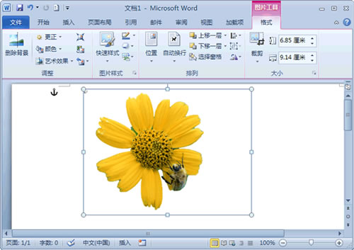word2010去除图片背景的使用方法
