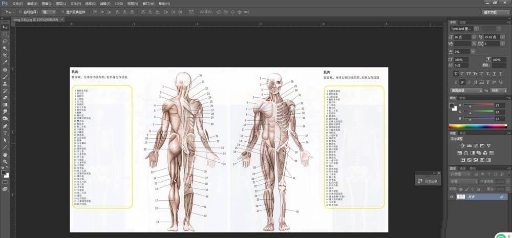 maya建模布线人体体块的图文使用方法