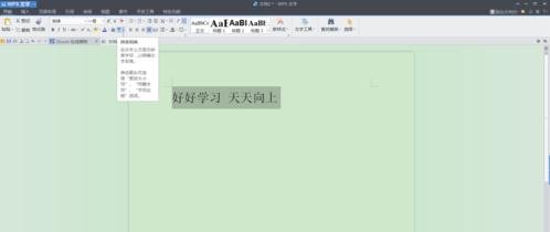 word2010加入拼音音调的操作教程