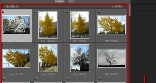 Lightroom将照片添到收藏夹的操作教程