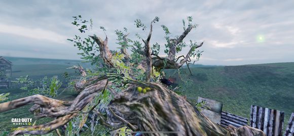 使命召唤手游树妖boss触发与打法技巧攻略