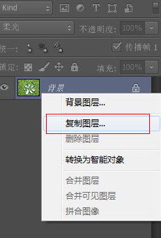 photoshop cs6为草地做出亮丽颜色的操作步骤