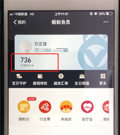 支付宝查看蚂蚁会员积分的简单操作