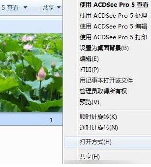 ACDSee快速浏览图片文件夹的简单操作方法截图
