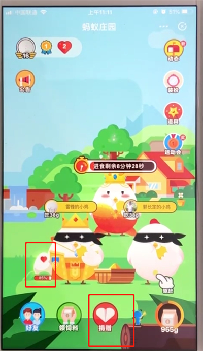 支付宝中饲养宠物的简单操作教程