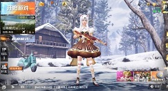 和平精英2020幸运币锦鲤大奖概率详解