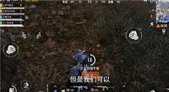 和平精英冰雪年兽刷新点与用法解析