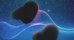 华米科技真无线耳机首次曝光：具备心率监测功能