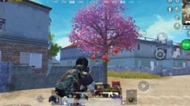 和平精英烟花树刷新位置与祈福奖励攻略