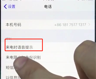 苹果8plus中打开来电语音提醒的简单方法