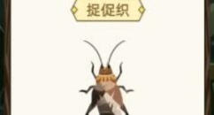 古代人生一品品级促织捕捉方法攻略