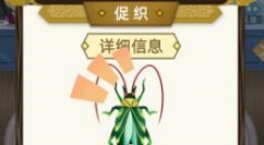 古代人生前期抓促织赚钱技巧方法攻略