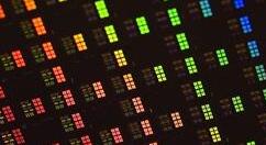 成功了！三星：5nm工艺已经追赶上