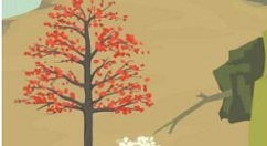 老农种树种子卡片题目与答案选择详解