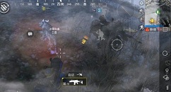 和平精英冰雪年兽作用与驯服方法解析