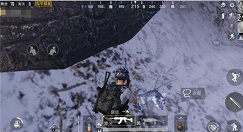 和平精英年兽宝宝刷新点与抓捕攻略