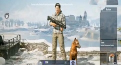和平精英国际服新宠物猎犬上线与玩法一览