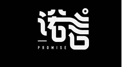 诺言进行登录的操作方法