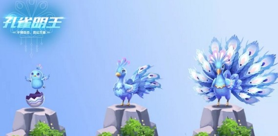 qq飞车手游孔雀明王宠物技能与获取详解