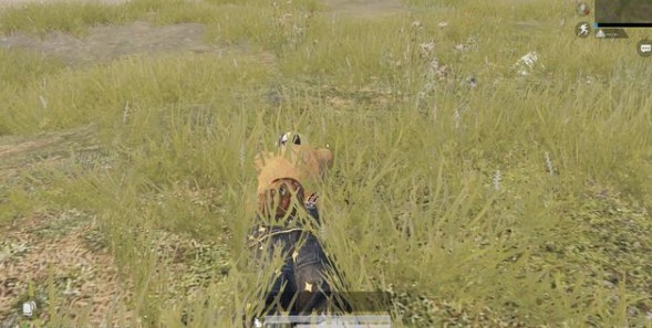 和平精英新时装浪漫波比使用简单评测