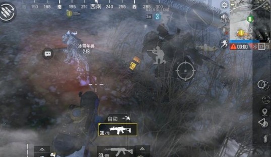 和平精英冰雪年兽作用与驯服方法解析