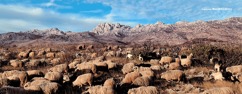 三星Galaxy S20 Ultra使用上矩阵式后置四摄系统