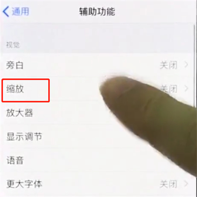 iphonex中使用缩放的操作步骤