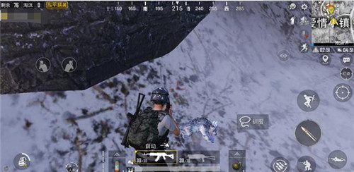 和平精英年兽宝宝刷新点与抓捕攻略