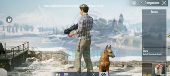 和平精英国际服新宠物猎犬上线与玩法一览