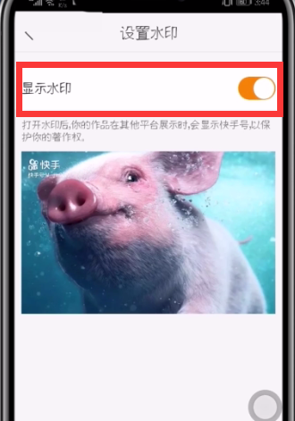 快手中设置专属水印的简单步骤