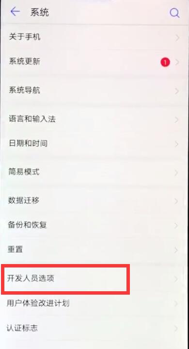 华为nova3e中打开开发者选项的具体步骤